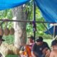 Sat Binmas Polres Lombok Barat Gelar Binluh dan Sosialisasi Kamtibmas di Lapak Buah Simpang Lima Gerung