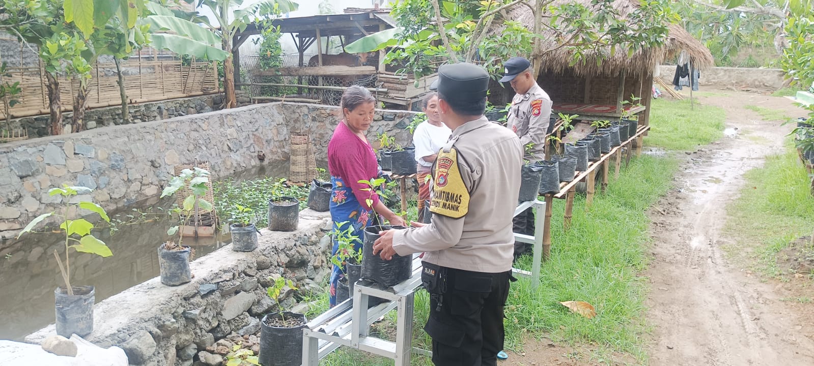 Dukungan Polsek Sekotong, Memotivasi Masyarakat untuk Optimalisasi Lahan Pekarangan