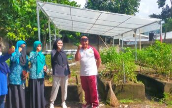 Lahan Bergizi, Inisiatif Ketahanan Pangan yang Inspiratif di Lembahsari