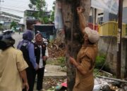 Pilkada Damai, Penertiban APK di Labuapi Lombok Barat Berjalan Mulus