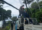Pohon tumbang timpa kabel listrik, sejumlah tiang listrik tumbang tak kuasa menahan beban