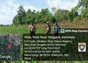 Polri Pantau Lahan Jagung di Desa Bakajaya untuk Dukung Ketahanan Pangan Nasional