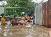 Polres Bima Kota Respon Cepat Bantu Evakuasi Dampak Banjir di Sejumlah Wilayah Kota Bima