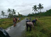 Bhabinkamtibmas Desa Sukamaju Laksanakan Sambang Desa dan Gotong Royong