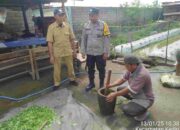 Pestisida Alami, Solusi Hemat dan Sehat untuk Petani Kediri