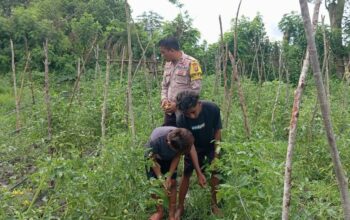 BKTM Desa Kempo Dampingi Warga Binaan Dukung Ketahanan Pangan Nasional