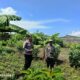 Bhabinkamtibmas Desa Hu’u Laksanakan Pemantauan Lahan Pertanian Warga untuk Mendukung Ketahanan Pangan Nasional