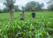 Polri Giat Sosialisasikan Ketahanan Pangan Nasional Menuju Indonesia Emas 2025