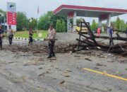 Pohon Tumbang Tutupi Jalan, Polsek Kayangan bersama Damkar Respon Cepat