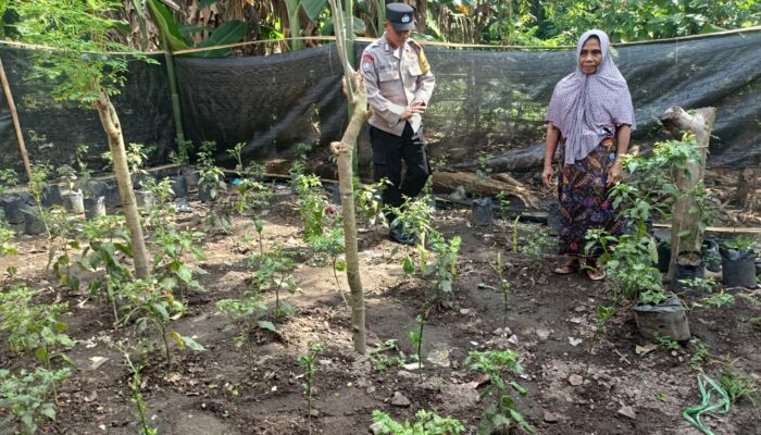 Bhabinkamtibmas Babussalam Aktif Dukung Ketahanan Pangan di Lombok Barat