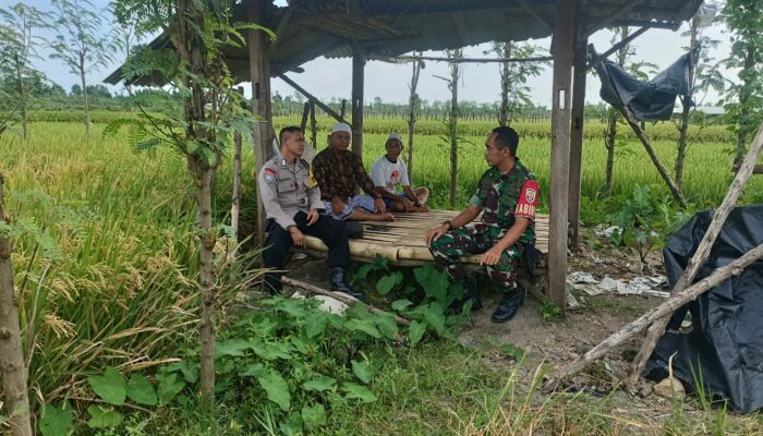 Sinergi TNI-Polri di Lombok: Bhabinkamtibmas dan Babinsa Gencarkan Ketahanan Pangan Desa