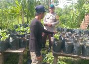 Inspiratif! Kapolsek Batulayar Pantau Lahan Bergizi Warga