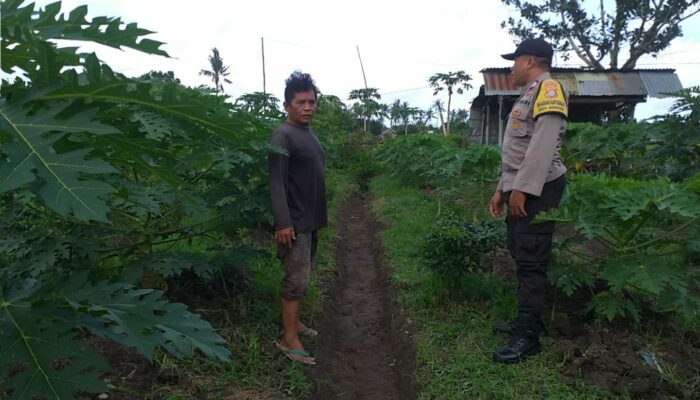 Bhabinkamtibmas Dukung Ketahanan Pangan, Petani Lombok Barat Antusias!