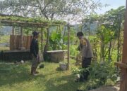 Polsek Batulayar Kawal Ketahanan Pangan dengan Monitoring Lahan Bergizi