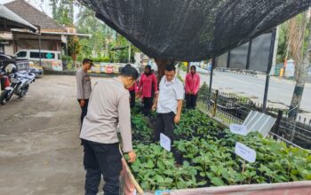 Polsek KP3 Lembar Launching Program P2L, Dukung Ketahanan Pangan!