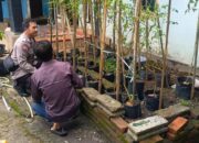 Polsek Labuapi Aktif Dukung Ketahanan Pangan dengan Kunjungan Rumah Produktif