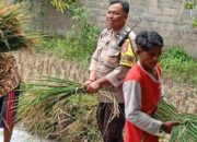 Polsek Labuapi Gencarkan Ketahanan Pangan di Lombok Barat