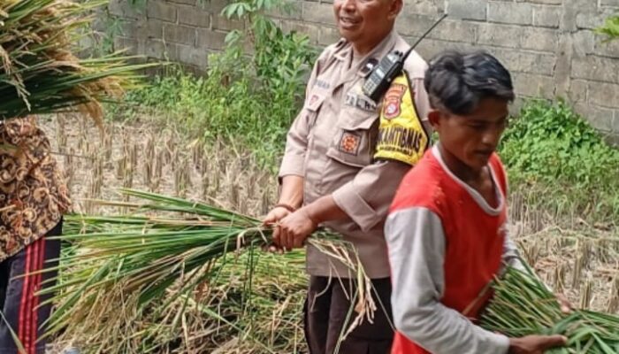 Polsek Labuapi Gencarkan Ketahanan Pangan di Lombok Barat