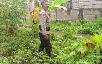 Sinergi Polri dan Warga, Optimalkan Lahan Kosong untuk Pangan Mandiri