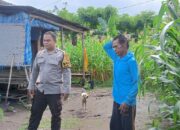 Dukung Ketahanan Pangan, Polres Sumbawa Barat Lakukan Monitoring Pendistribusian Pupuk Bersubsidi