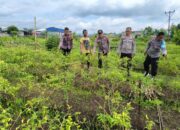 Kapolsek Dompu dan Jajaran Pantau Ketahanan Pangan di Lahan Warga