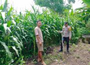 Polri Dukung Program Ketahanan Pangan Nasional di Desa Beringin Jaya