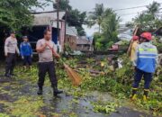 Sebuah Dahan Pohon Tumbang Timpa Bangunan dan Warga