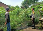 Polri Dukung Program Ketahanan Pangan Nasional di Desa Nangamiro