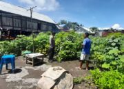 Polri Dukung Ketahanan Pangan, Bhabinkamtibmas Desa Daha Dampingi Warga Tanam Sayuran