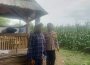 Polsek Hu’u Pantau Pengolahan Lahan Pertanian Dukung Ketahanan Pangan Nasional