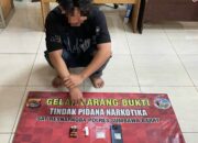 Bawa Sabu 18 Gram, Seorang Pria Dibekuk Tim Opsnal Sat Resnarkoba Polres Sumbawa Barat