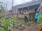 Bhabinkamtibmas Desa Luk, Berikan Motivasi Warga Manfaatkan Pekarangan Kosong Dukung Ketahanan Pangan
