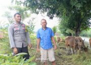 Bhabinkamtibmas Desa Adu Sambangi Warga, Dukung Program Ketahanan Pangan Nasional