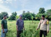 Bhabinkamtibmas Desa Cempi Jaya Pantau Pengolahan Lahan Pekarangan untuk Ketahanan Pangan