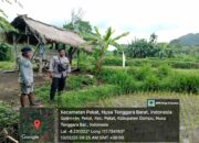 Bhabinkamtibmas Desa Pekat Pantau Lahan Pertanian untuk Program Ketahanan Pangan Nasional