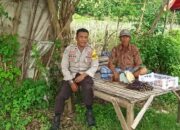 Polsek Kempo Dukung Ketahanan Pangan, Bhabinkamtibmas Terjun Bantu Petani