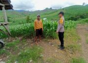 Bhabinkamtibmas Pantau Lahan Pertanian Warga untuk Dukung Ketahanan Pangan
