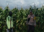 Bhabinkamtibmas Desa Tanju Sosialisasikan Ketahanan Pangan, Ajak Warga Manfaatkan Lahan Pekarangan