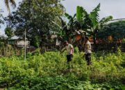 Bhabinkamtibmas Desa Mantar Kunjungi Warga Manfaatkan Pekarangan dengan Tanaman Bergizi