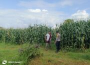 Bhabinkamtibmas Hu’u Pantau Pengolahan Lahan untuk Ketahanan Pangan Nasional
