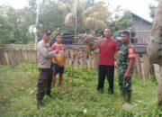 Bhabinkamtibmas Desa Woko Pantau Lahan Pertanian Buah untuk Ketahanan Pangan Nasional