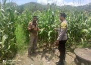 Bhabinkamtibmas Desa Jambu Dampingi Petani dalam Program Ketahanan Pangan Nasional