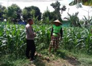Polisi Sambangi Petani Jagung di Lombok, Beri Motivasi Ketahanan Pangan