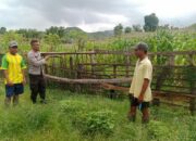 Bhabinkamtibmas Desa Woko Lakukan Pemantauan Lahan Pertanian untuk Dukung Ketahanan Pangan