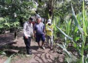 Polsek Hu’u Pantau Pengolahan Lahan Pertanian di Desa Daha untuk Dukung Ketahanan Pangan