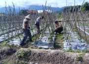 Dukung Ketahanan Pangan, Bhabinkamtibmas Desa Tarusan Sambangi Petani