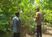 Polsek Sekotong Ajak Warga Manfaatkan Pekarangan untuk Ketahanan Pangan