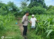 Bhabinkamtibmas Desa Hu’u Pantau Pengolahan Lahan Pertanian Warga untuk Dukung Ketahanan Pangan