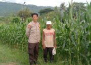 Monitoring dan Pendampingan Bhabinkamtibmas dalam Mendukung Ketahanan Pangan di Desa Lune