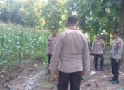 Kapolsek Jereweh Lakukan Pengecekan dan Pengawasan Ketahanan Pangan di Wilayah Hukumnya